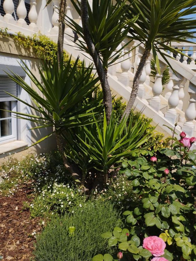 Villa Flora Superior Apartment Cabris Εξωτερικό φωτογραφία